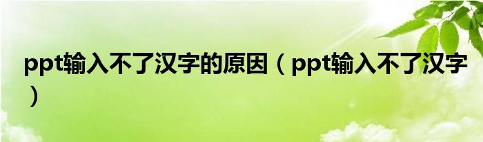 ppt输入不了汉字的原因（ppt输入不了汉字）