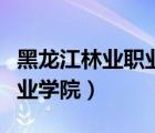 黑龙江林业职业技术学院官网（黑龙江林业职业学院）