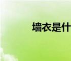 墙衣是什么做的（墙衣是什么）