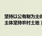 坚持以公有制为主体多种所有制共同发展（坚持以公有制为主体坚持农村土地）