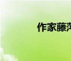 作家藤萍（藤萍的最新作品）