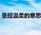 圣经温柔的意思是什么（温柔的意思是什么）
