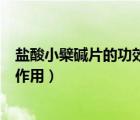 盐酸小檗碱片的功效与作用说明书（盐酸小檗碱片的功效与作用）