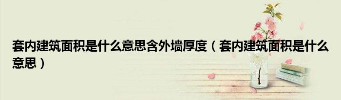 套内建筑面积是什么意思含外墙厚度（套内建筑面积是什么意思）