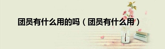 团员有什么用的吗（团员有什么用）