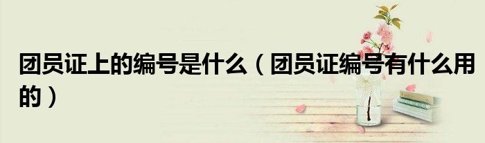 团员证上的编号是什么（团员证编号有什么用的）