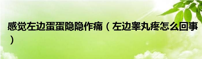 感觉左边蛋蛋隐隐作痛（左边睾丸疼怎么回事）