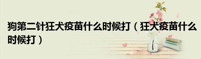 狗第二针狂犬疫苗什么时候打（狂犬疫苗什么时候打）