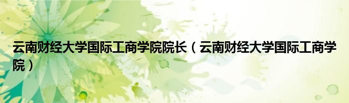 云南财经大学国际工商学院院长（云南财经大学国际工商学院）
