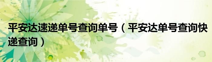 平安达速递单号查询单号（平安达单号查询快递查询）