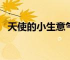 天使的小生意气的拼音（天使的小生意气）