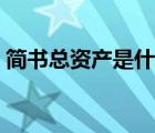 简书总资产是什么意思（总资产是什么意思）