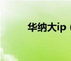 华纳大ip（华纳达人室内设计网）