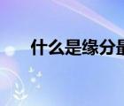什么是缘分最好的解释（什么是缘分）