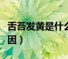 舌苔发黄是什么原因导致（舌苔发黄是什么原因）