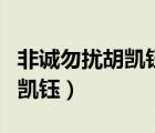 非诚勿扰胡凯钰牵手后结婚了吗（非诚勿扰胡凯钰）