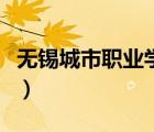 无锡城市职业学院俞洁华（无锡城市职业学院）