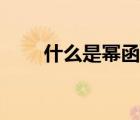 什么是幂函数的定义（幂函数定义）