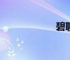 碧聊是什么（碧聊）