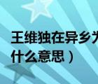 王维独在异乡为异客（独在异乡为异客的异是什么意思）
