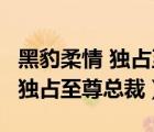 黑豹柔情 独占至尊总裁 于诺下载（黑豹柔情 独占至尊总裁）