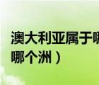 澳大利亚属于哪个洲哪个板块（澳大利亚属于哪个洲）