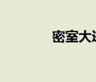 密室大逃脱第三季（mishi）