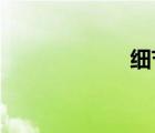 细节的定义是什么