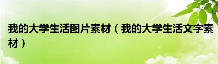我的大学生活图片素材（我的大学生活文字素材）