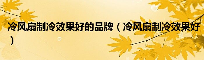 冷风扇制冷效果好的品牌（冷风扇制冷效果好）