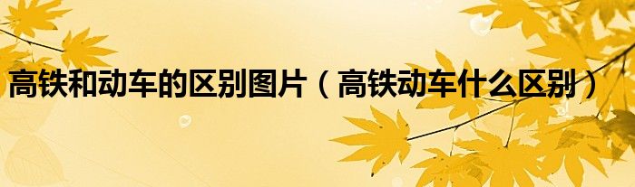 高铁和动车的区别图片（高铁动车什么区别）
