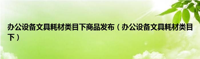 办公设备文具耗材类目下商品发布（办公设备文具耗材类目下）