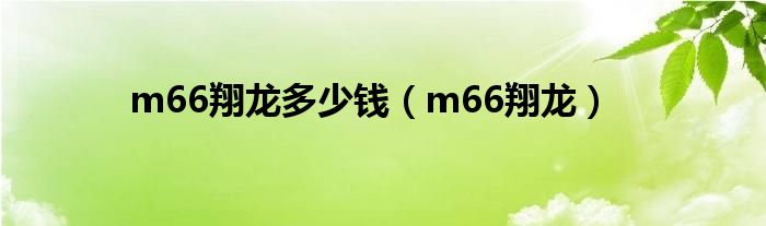 m66翔龙多少钱（m66翔龙）