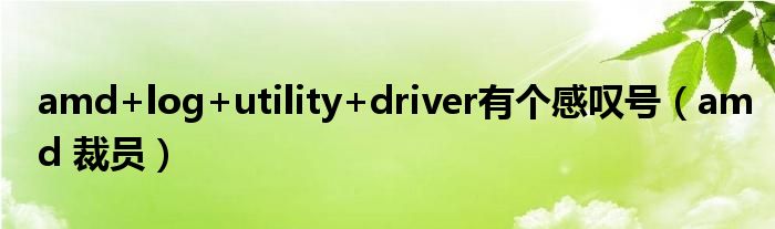 amd+log+utility+driver有个感叹号（amd 裁员）