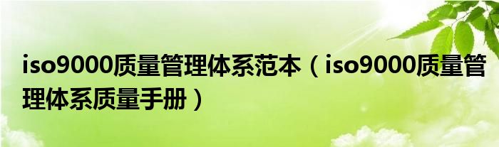 iso9000质量管理体系范本（iso9000质量管理体系质量手册）