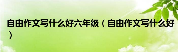 自由作文写什么好六年级（自由作文写什么好）