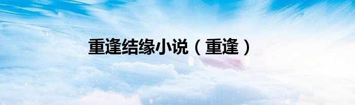 重逢结缘小说（重逢）