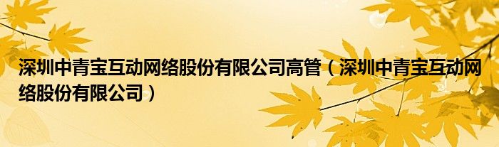 深圳中青宝互动网络股份有限公司高管（深圳中青宝互动网络股份有限公司）