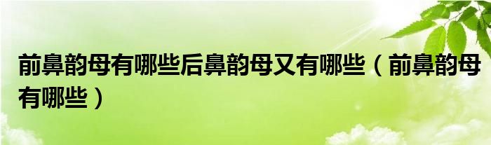 前鼻韵母有哪些后鼻韵母又有哪些（前鼻韵母有哪些）
