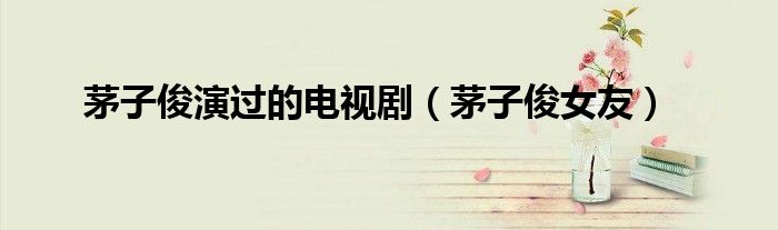 茅子俊演过的电视剧（茅子俊女友）