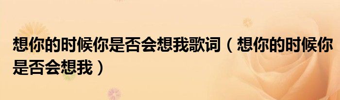 想你的时候你是否会想我歌词（想你的时候你是否会想我）