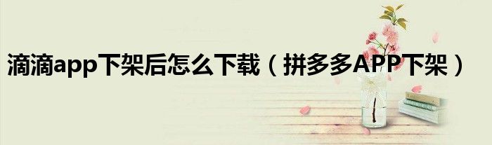 滴滴app下架后怎么下载（拼多多APP下架）