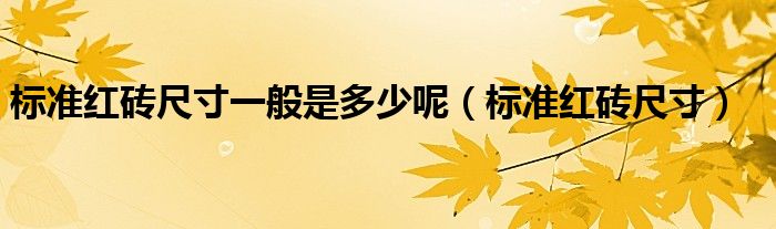 标准红砖尺寸一般是多少呢（标准红砖尺寸）