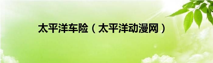 太平洋车险（太平洋动漫网）