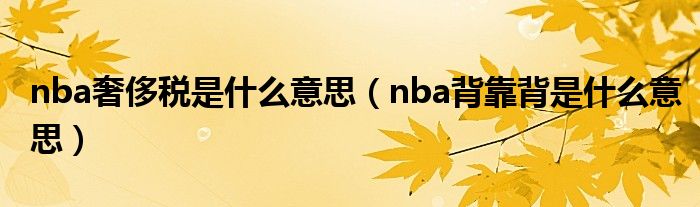 nba奢侈税是什么意思（nba背靠背是什么意思）