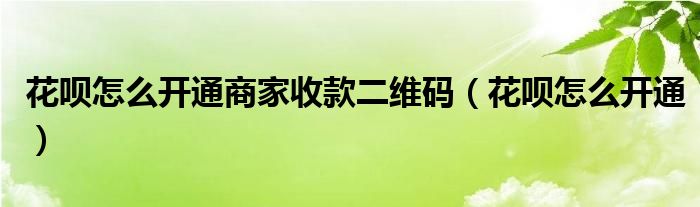 花呗怎么开通商家收款二维码（花呗怎么开通）
