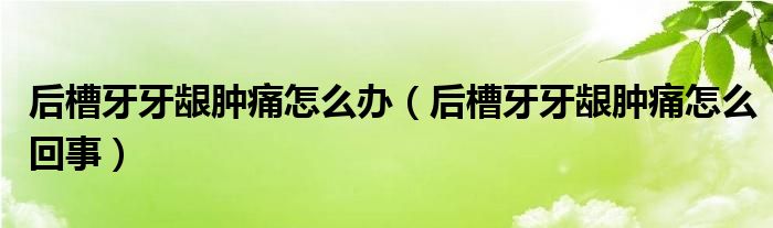 后槽牙牙龈肿痛怎么办（后槽牙牙龈肿痛怎么回事）