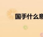 国手什么意思小s（国手什么意思）