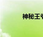 神秘王爷的爱妃（神秘王爷）
