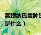 宫颈纳氏囊肿是什么病严重吗（宫颈纳氏囊肿是什么）